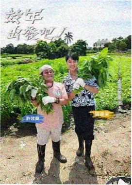 手作的时间 在线观看综艺节目